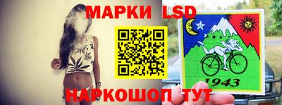 стаф Краснодар