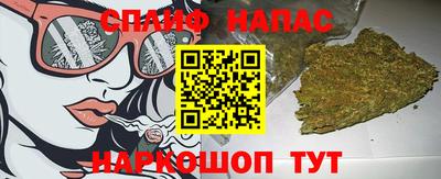 стаф Краснодар