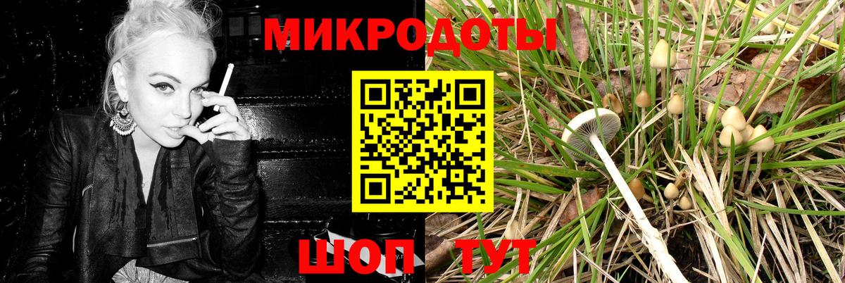 Кушва  Галлюциногенные грибы прущие грибы  Галлюциногенные грибы Psilocybine cubensis  Вход с VPN 