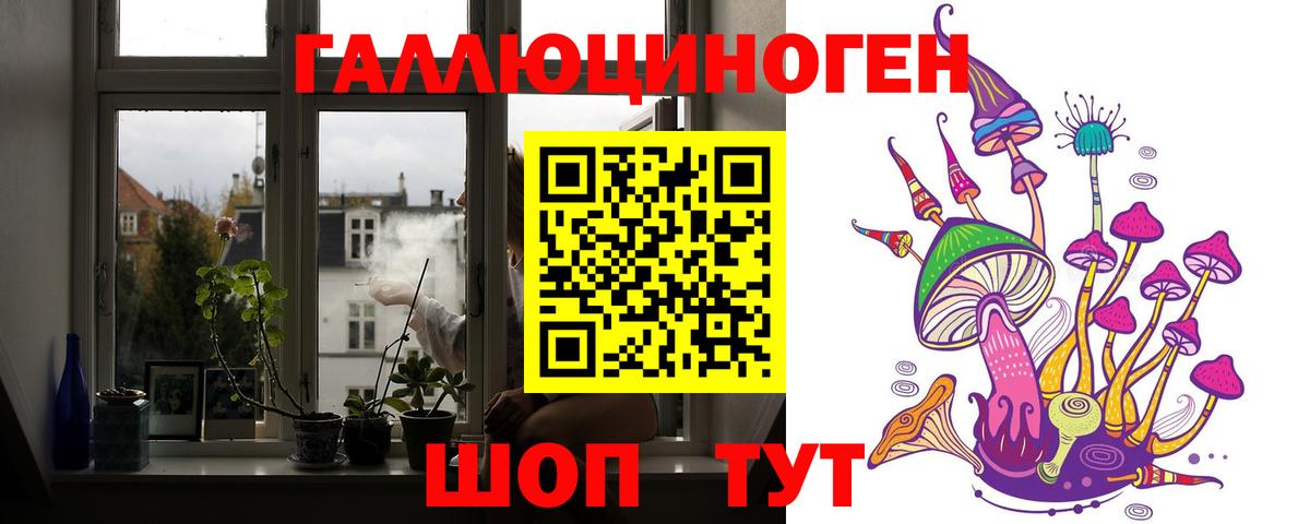 Галлюциногенные грибы Psilocybe Кушва